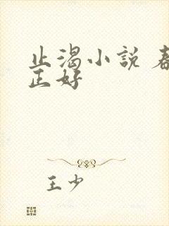 止渴小说 春光正好