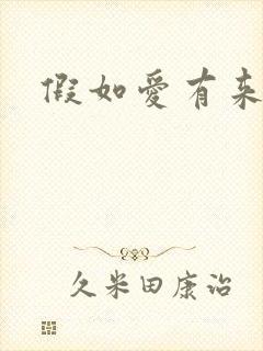 假如爱有来生封面