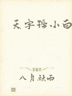 天字号小白脸封面