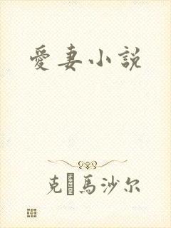 爱妻小说封面