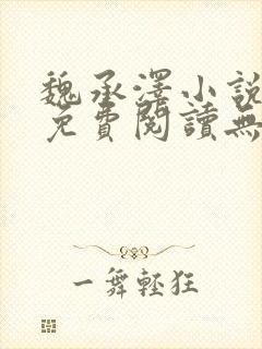 魏承泽小说全文免费阅读无弹窗笔趣