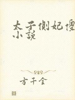 太子侧妃傻乎乎小说