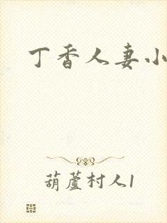 丁香人妻小说封面