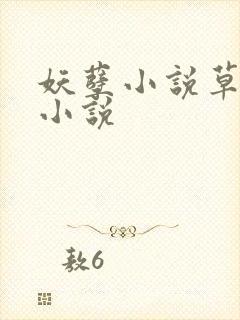 妖孽小说草莓酱小说封面