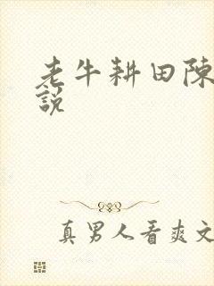 老牛耕田陈雪小说封面