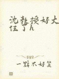 沈教授好大含不住了h