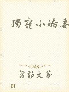独宠小娇妻