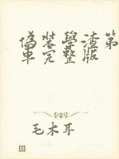 伪装学渣第一次车完整版