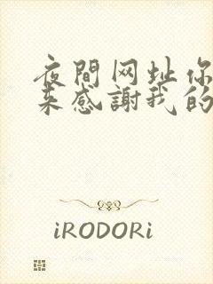 夜间网址你会回来感谢我的