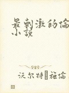 最刺激的伦子伦小说封面