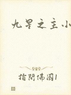 九星之主小说