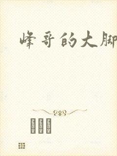 峰哥的大脚封面