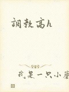 调教高h