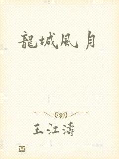 龙城风月封面