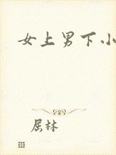 女上男下小说