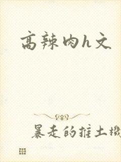 高辣肉h文