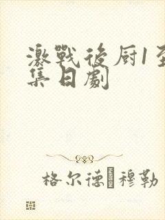 激战后厨1至5集日剧