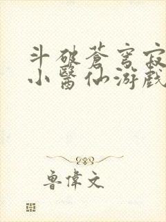 斗破苍穹寂寞的小医仙游戏世界