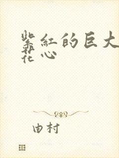 紫红的巨大顶开花心