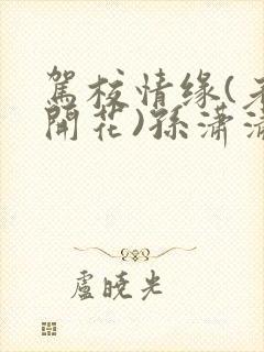 驾校情缘(老树开花)孙潇潇笔趣阁