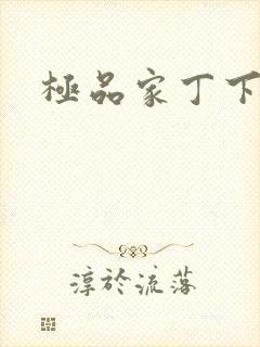 极品家丁下载封面