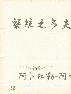 系统之多夫HP封面