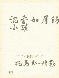 沉香如屑的原著小说封面