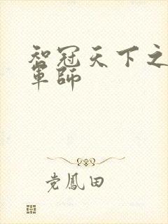 智冠天下之风流军师封面