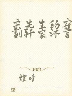 宋先生的宠妻计划轩家沐言