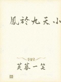 凤于九天小说封面