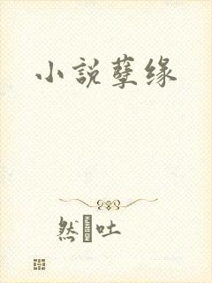 小说孽缘