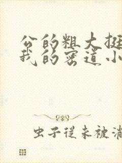 公的粗大挺进了我的密道小说封面