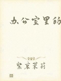 办公室里的故事