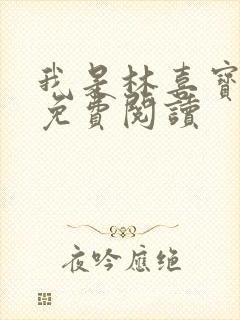 我是林喜宝小说免费阅读封面