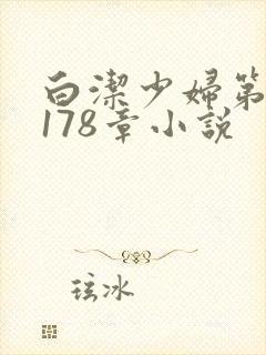 白洁少妇第1一178章小说封面