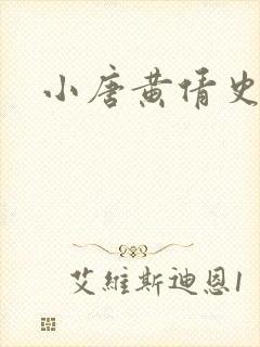 小唐黄倩史