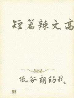 短篇辣文高h