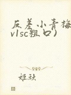 反差小青梅(1v1sc粗口)