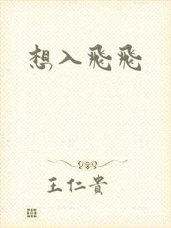 想入飞飞封面