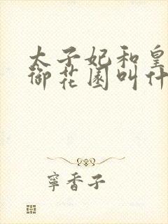 太子妃和皇帝在御花园叫什么小说