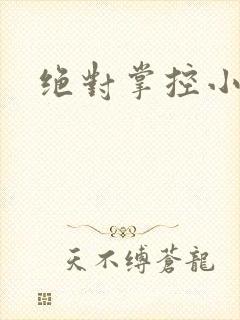 绝对掌控小说
