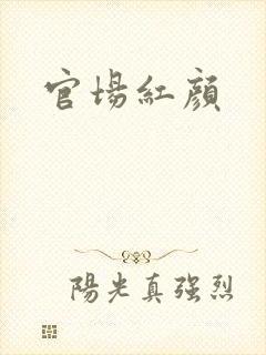 官场红颜