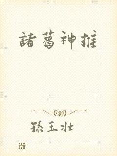 诸葛神推封面