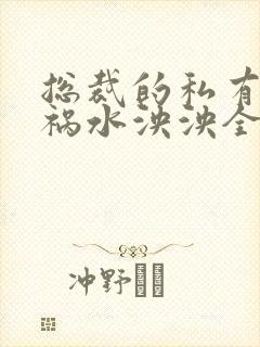 总裁的私有宝贝祸水泱泱全文阅读