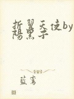 折翼天使by太阳黑子封面