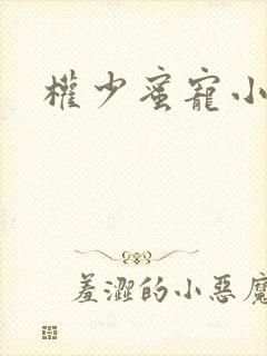 权少蜜宠小娇妻