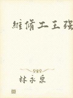 维修工王强张婷