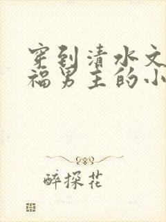 穿到清水文里造福男主的小说