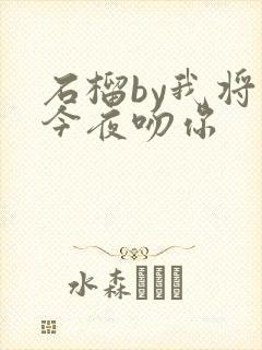 石榴by我将在今夜吻你