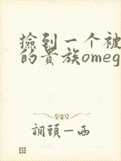 捡到一个被抹布的贵族omega